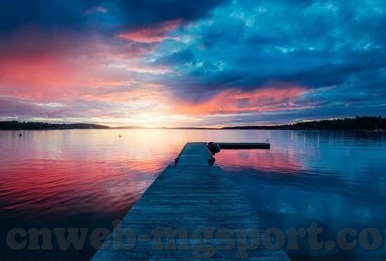 06年世界杯弗林斯-弗林斯在2006年世界杯上的闪耀时刻